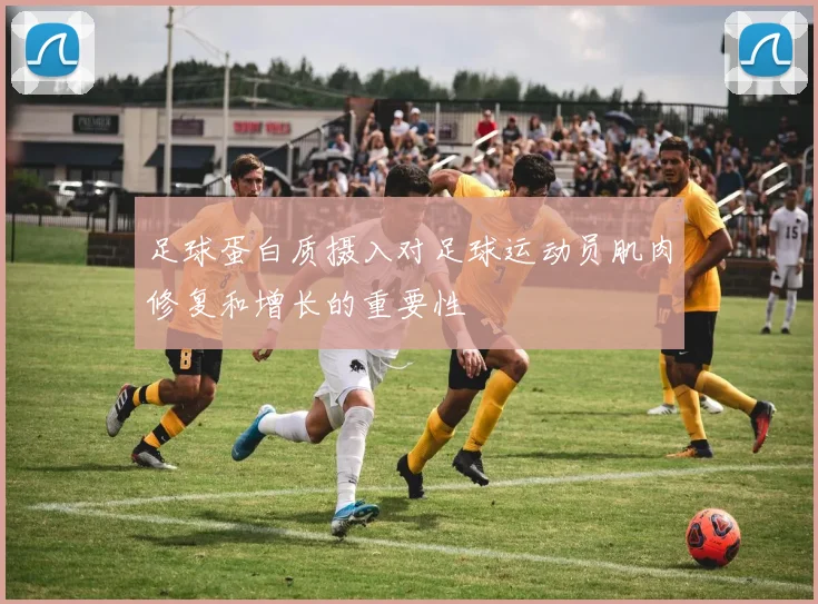 足球蛋白质摄入对足球运动员肌肉修复和增长的重要性