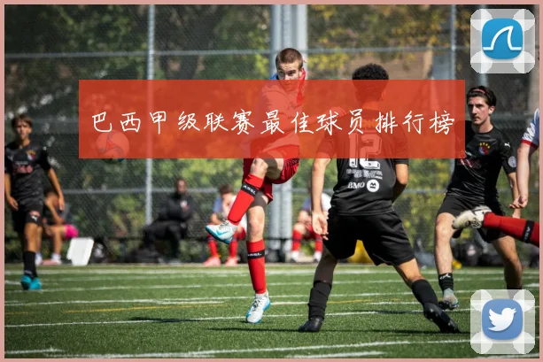 巴西甲级联赛最佳球员排行榜