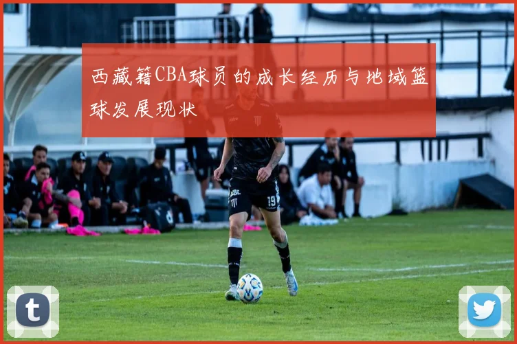 西藏籍CBA球员的成长经历与地域篮球发展现状